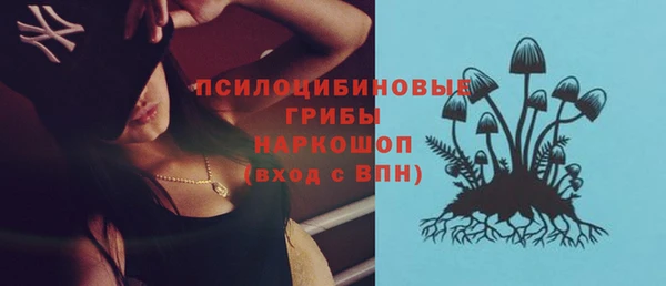МДПВ Волоколамск