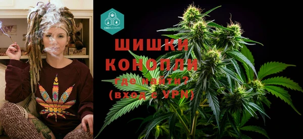 МДПВ Волоколамск