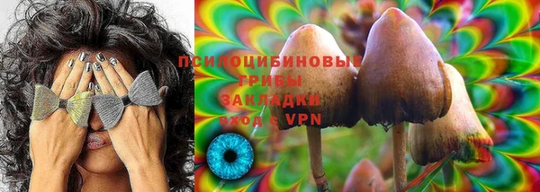 МДПВ Волоколамск
